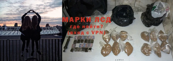 шишки Медногорск