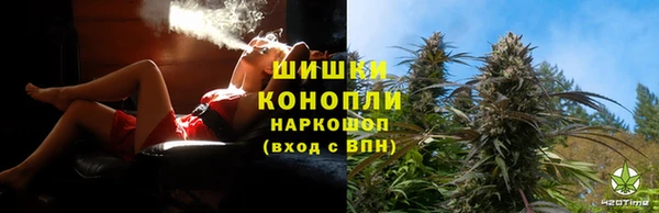 шишки Медногорск