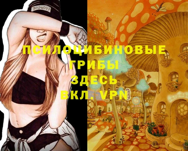 молекула духа Ладушкин