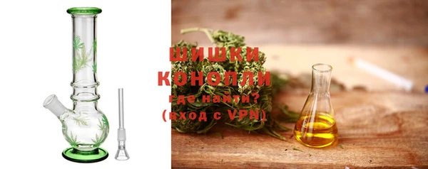 шишки Медногорск