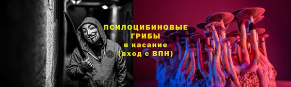 ГАЛЛЮЦИНОГЕННЫЕ ГРИБЫ Медвежьегорск