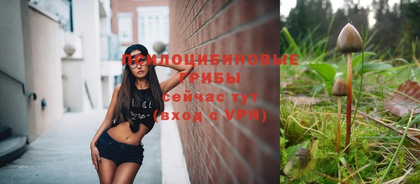 ГАЛЛЮЦИНОГЕННЫЕ ГРИБЫ Медвежьегорск